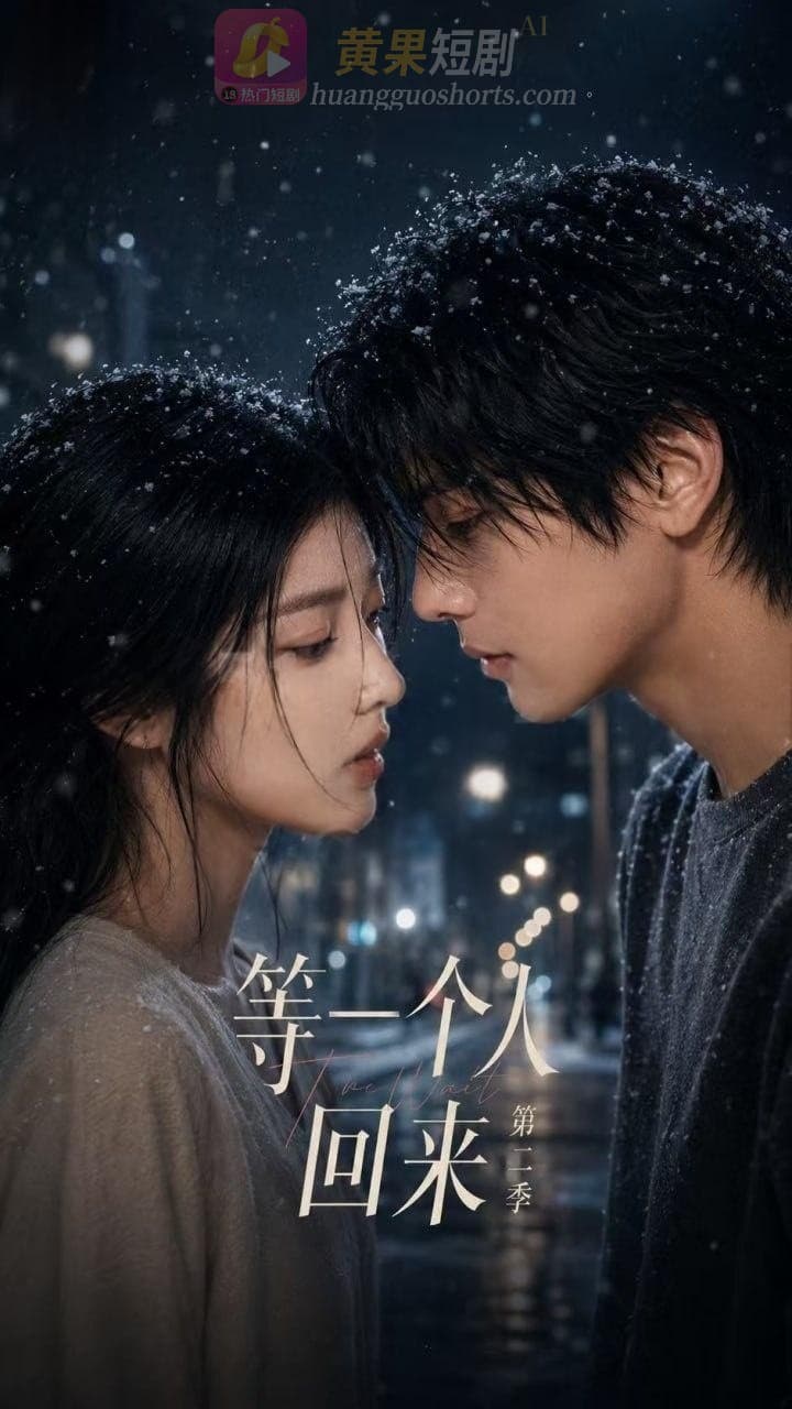 等一个人回来 第二季